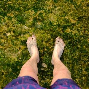 Meet your Posher, Conor